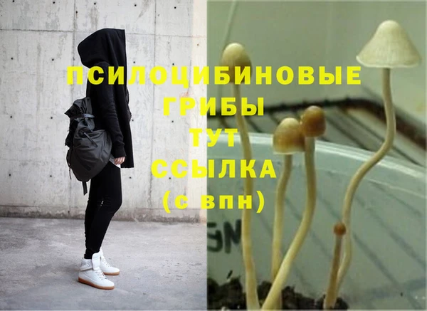 2c-b Балабаново