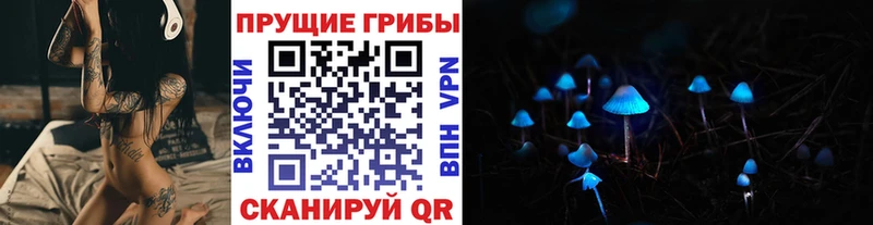 наркошоп Знаменск Галлюциногенные грибы прущие грибы